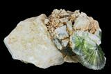 Radiating, Green Wavellite Crystal Aggregation - Arkansas #127093-1